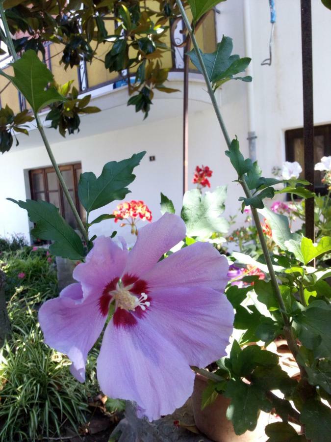 Casa Vacanze Terme Terme Vigliatore Εξωτερικό φωτογραφία