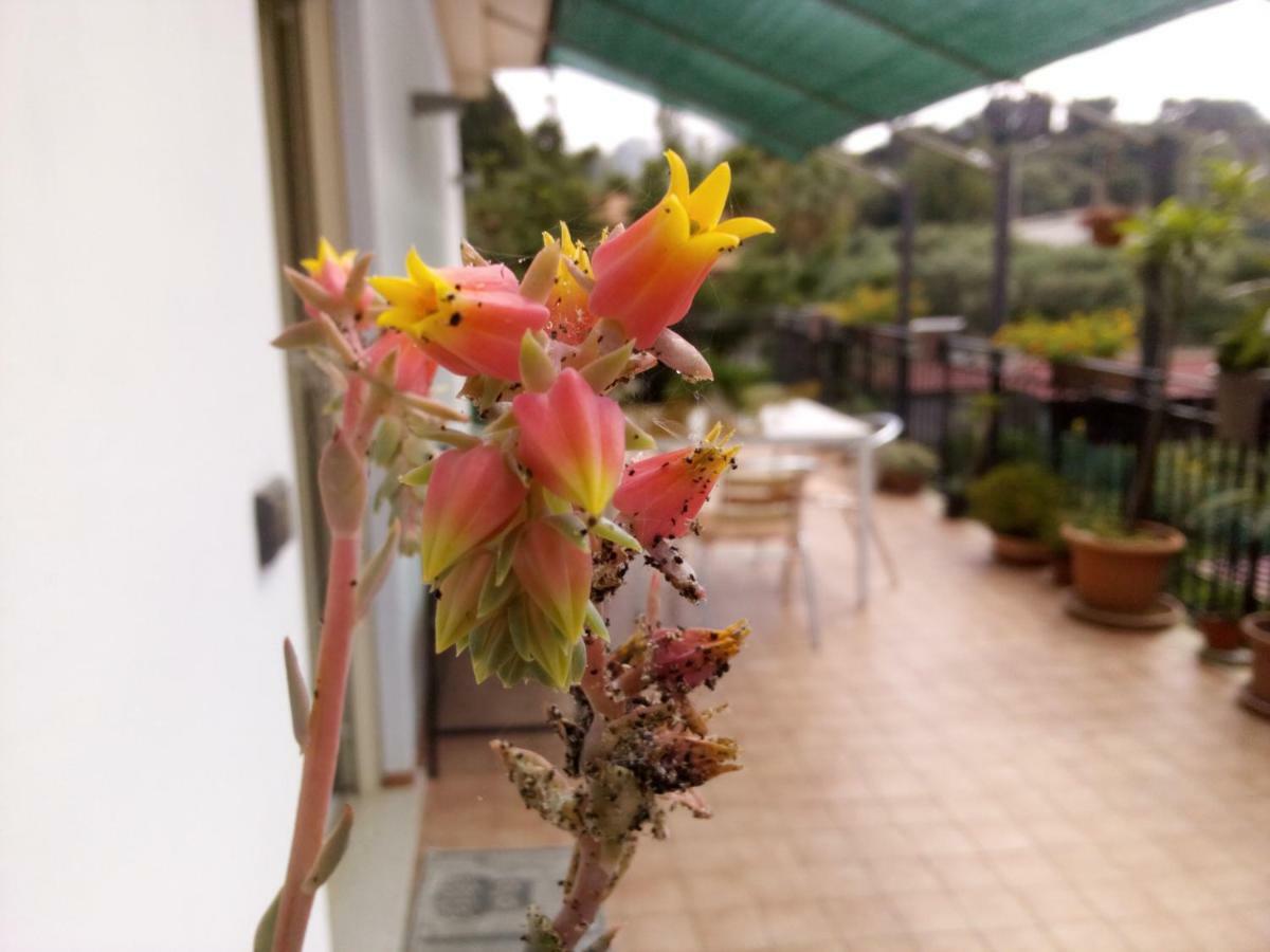 Casa Vacanze Terme Terme Vigliatore Εξωτερικό φωτογραφία